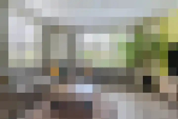 Frans van Nunenstraat 19 Steensel thumbnail 4