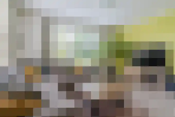 Frans van Nunenstraat 19 Steensel thumbnail 5