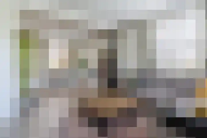 Frans van Nunenstraat 19 Steensel thumbnail 6
