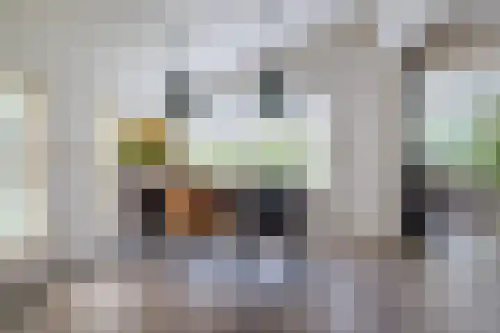 Frans van Nunenstraat 19 Steensel thumbnail 7