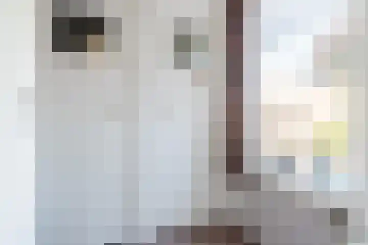 Frans van Nunenstraat 38 Steensel thumbnail 13
