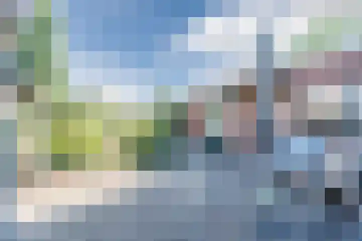 Frans van Nunenstraat 38 Steensel thumbnail 21