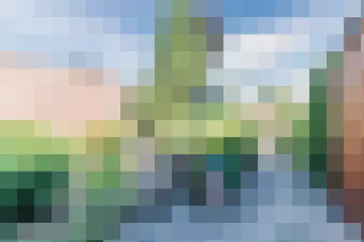 Frans van Nunenstraat 38 Steensel thumbnail 22