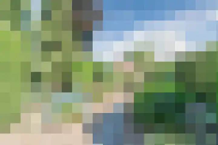 Frans van Nunenstraat 38 Steensel thumbnail 27