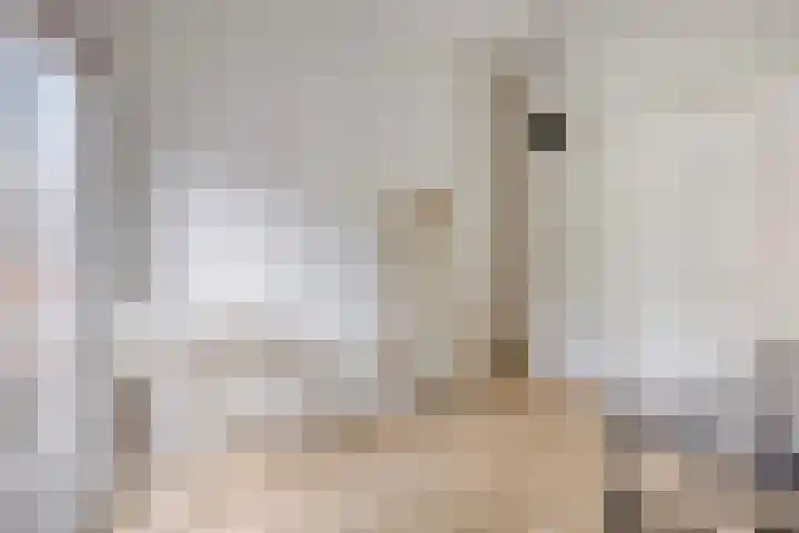 Frans van Waesberghestraat 16 Hulst thumbnail 22