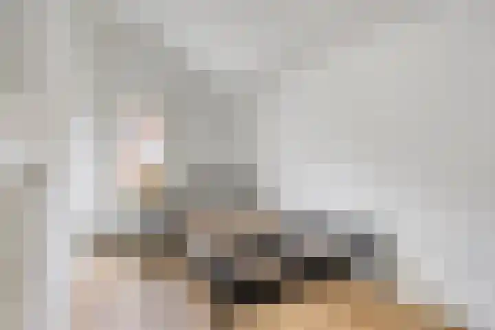 Frans van Waesberghestraat 16 Hulst thumbnail 24