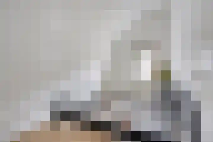 Frans van Waesberghestraat 16 Hulst thumbnail 27