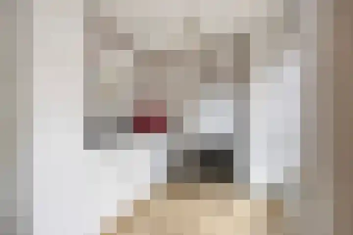 Frans van Waesberghestraat 16 Hulst thumbnail 5