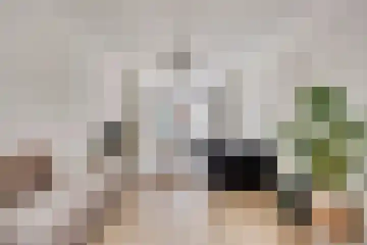 Frans van Waesberghestraat 16 Hulst thumbnail 8