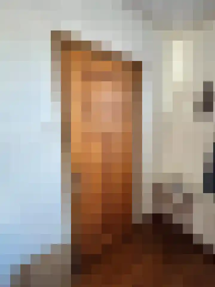 Frans van Waesberghestraat 31 Hulst thumbnail 12