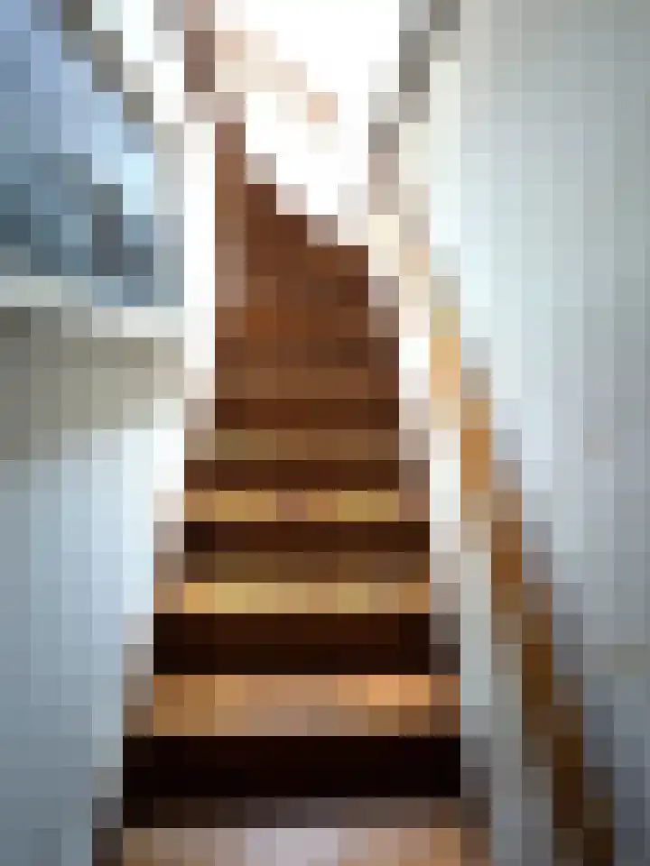 Frans van Waesberghestraat 31 Hulst thumbnail 14