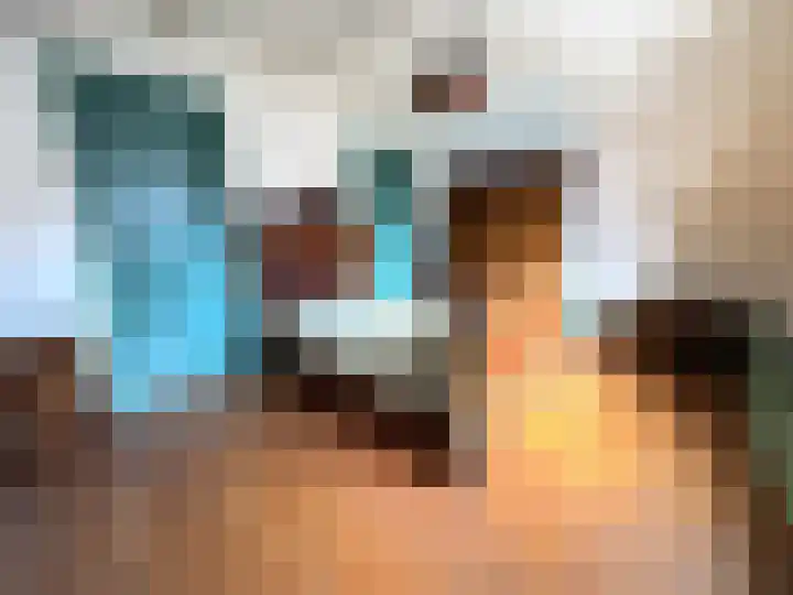 Frans van Waesberghestraat 31 Hulst thumbnail 17