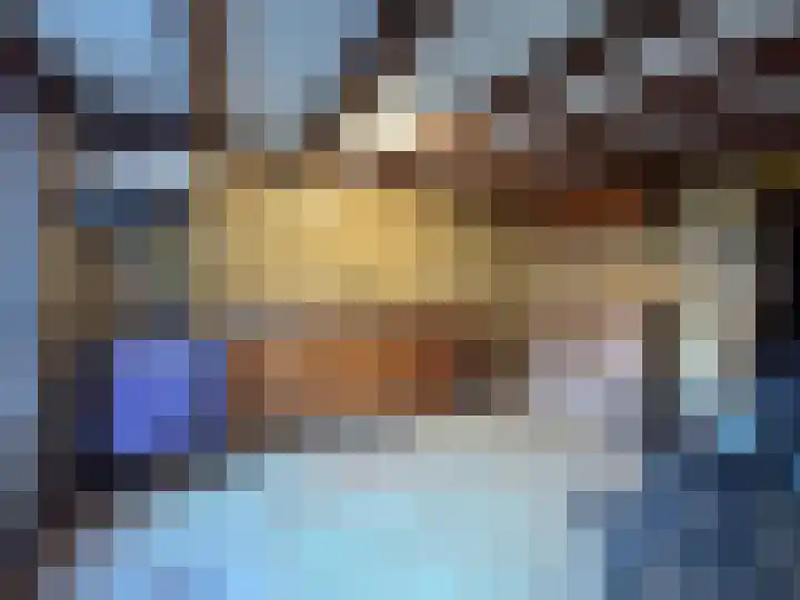 Frans van Waesberghestraat 31 Hulst thumbnail 22