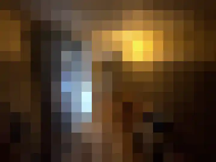 Frans van Waesberghestraat 31 Hulst thumbnail 23