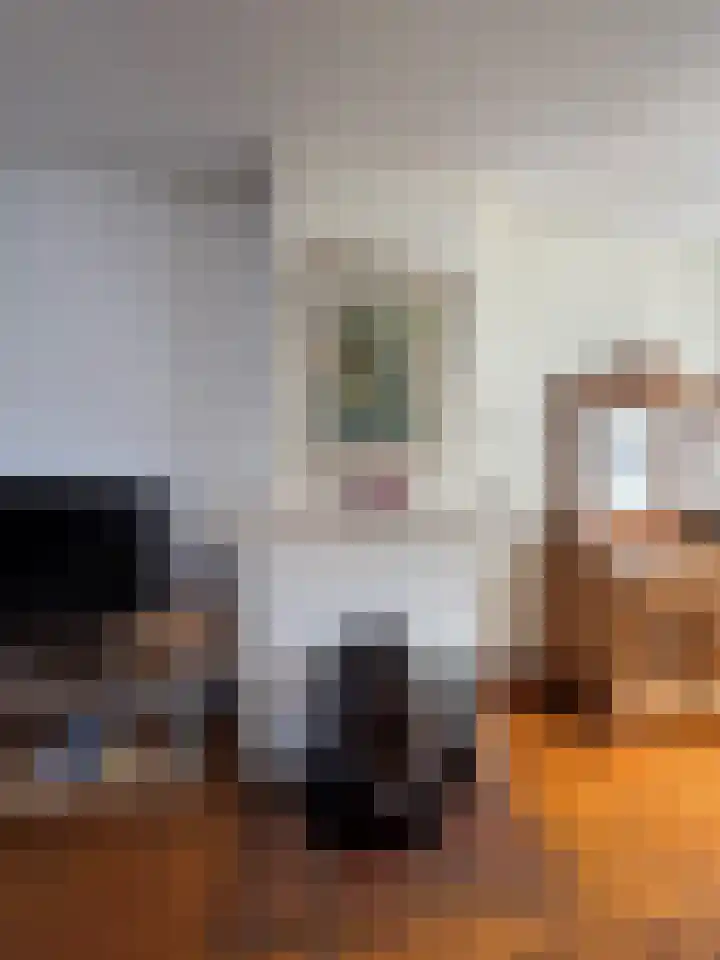 Frans van Waesberghestraat 31 Hulst thumbnail 9