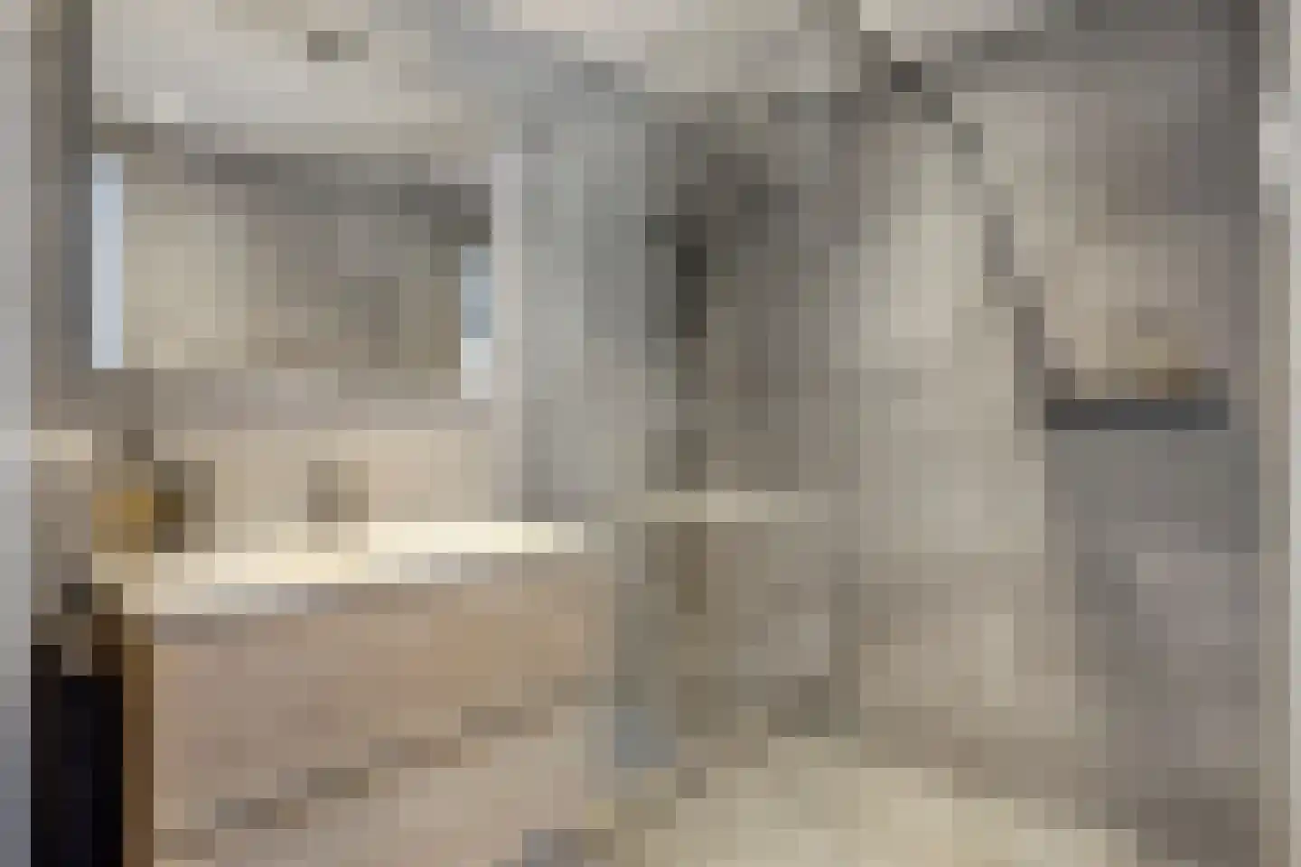 Frans van Waesberghestraat 56 Hulst thumbnail 17