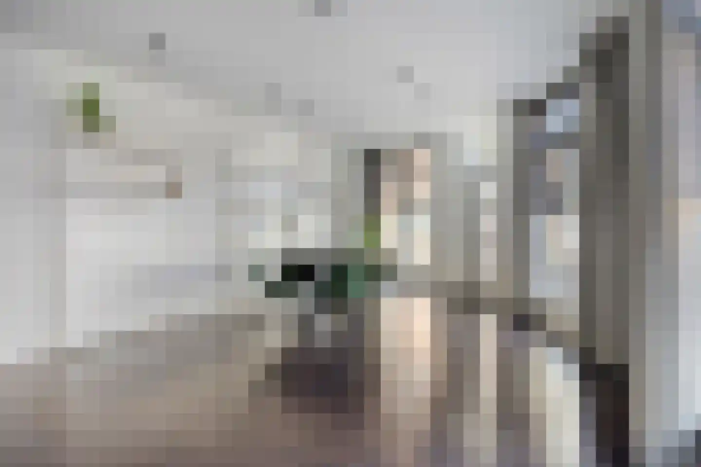 Frans van Waesberghestraat 56 Hulst thumbnail 6