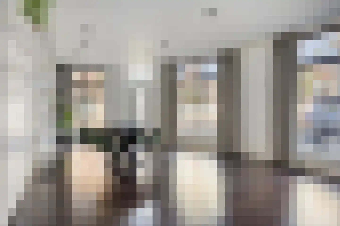 Frans van Waesberghestraat 56 Hulst thumbnail 7