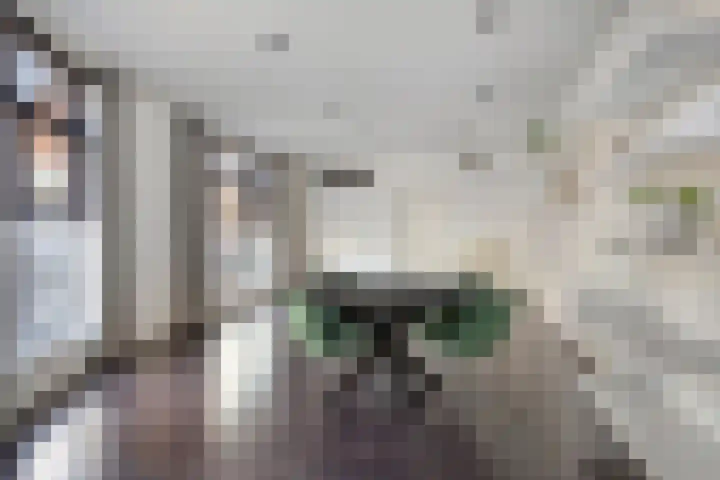 Frans van Waesberghestraat 56 Hulst thumbnail 8