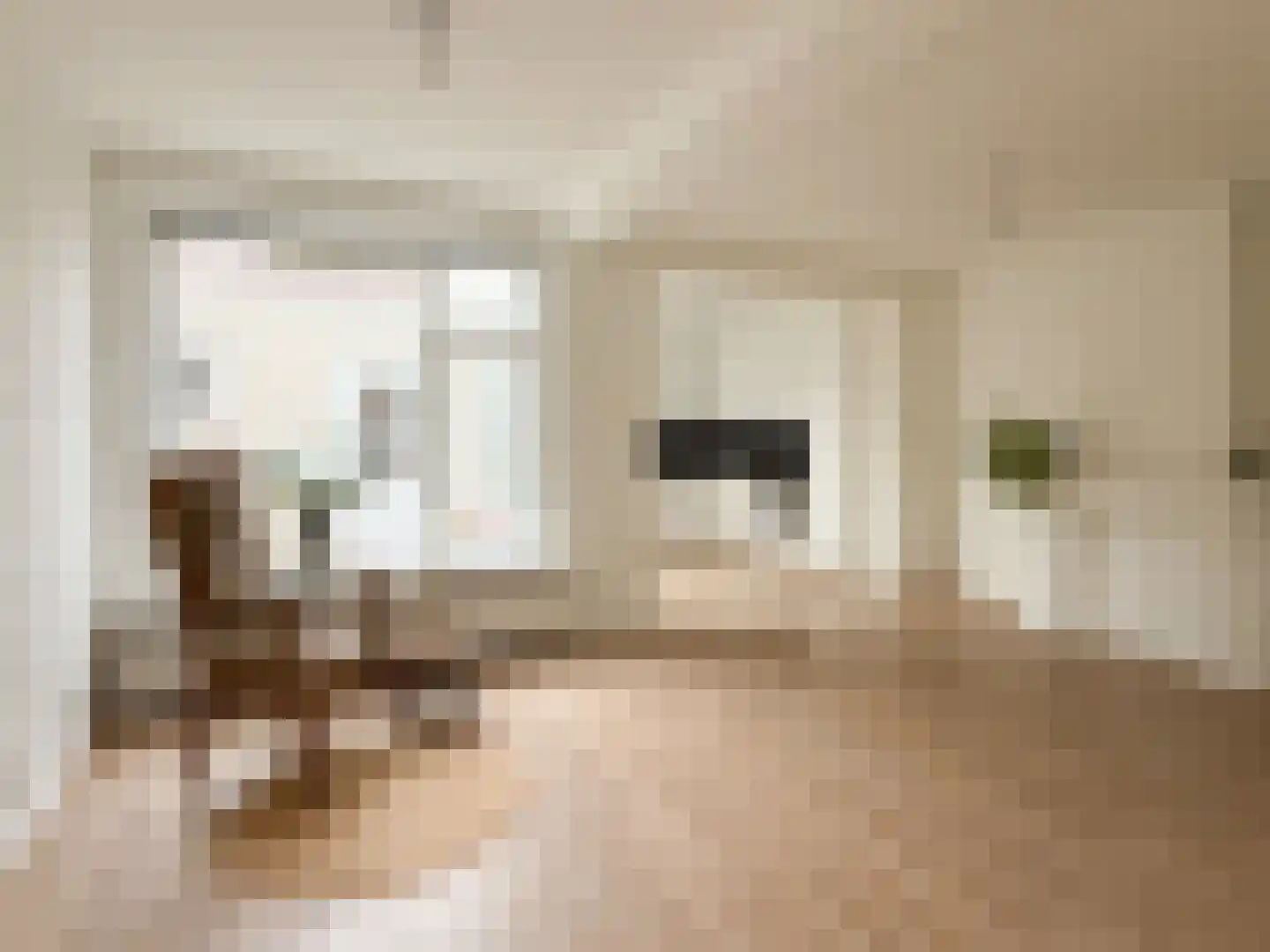 Frans van Waesberghestraat 6 Hulst thumbnail 10