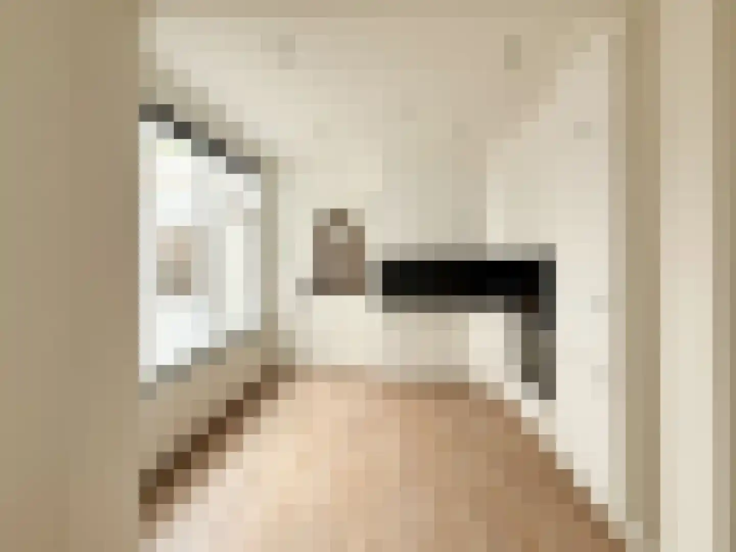 Frans van Waesberghestraat 6 Hulst thumbnail 13