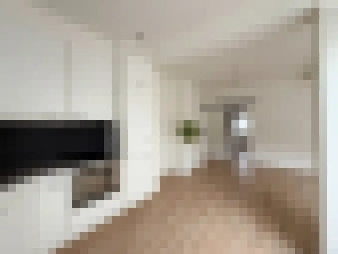 Frans van Waesberghestraat 6 Hulst thumbnail 15