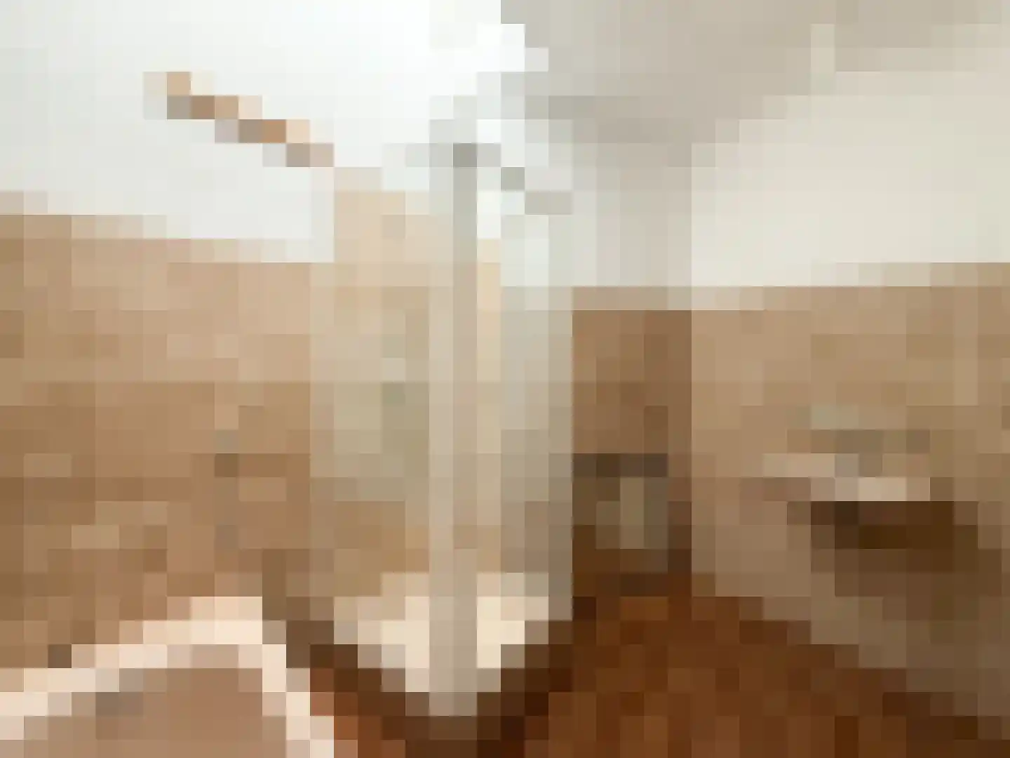 Frans van Waesberghestraat 6 Hulst thumbnail 17