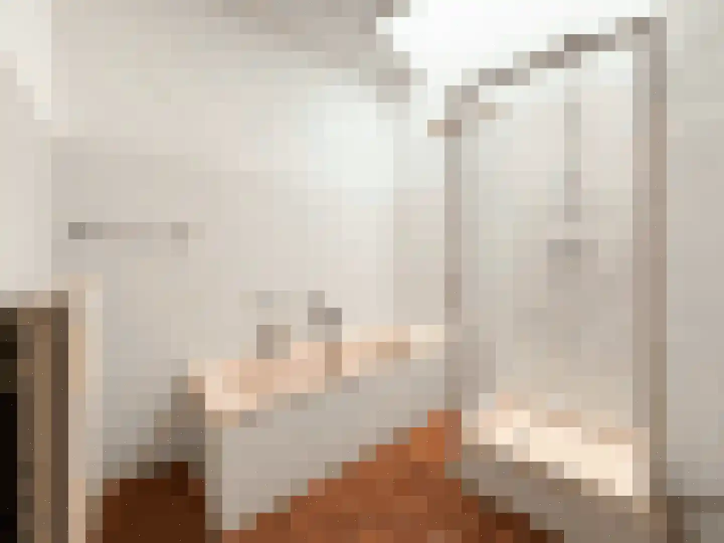 Frans van Waesberghestraat 6 Hulst thumbnail 18