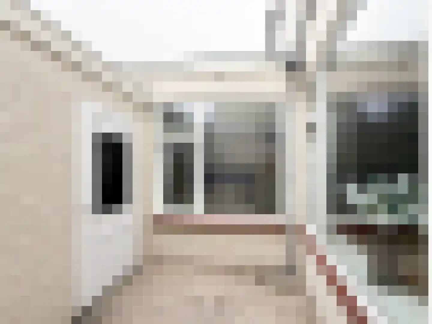Frans van Waesberghestraat 6 Hulst thumbnail 19