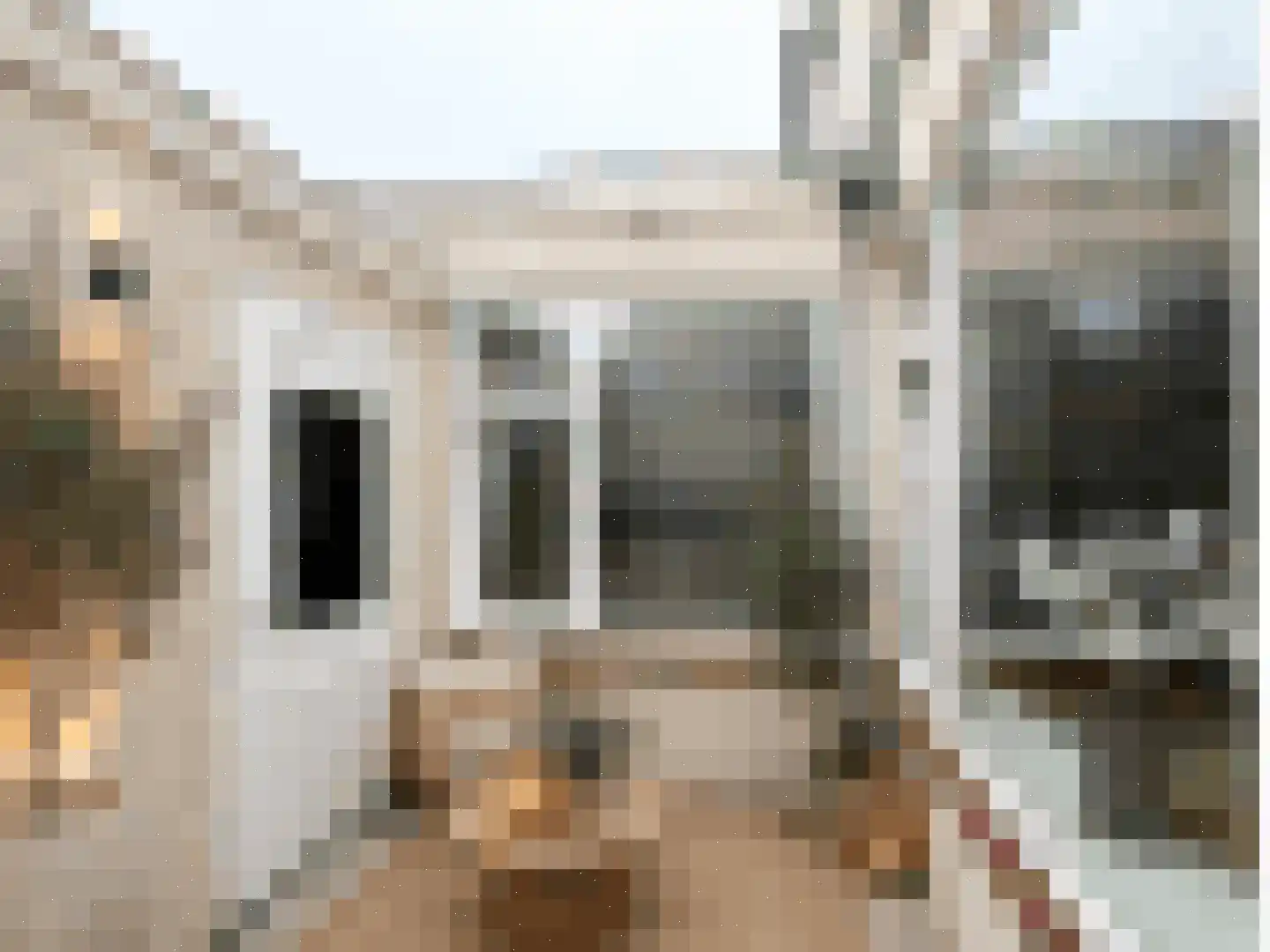 Frans van Waesberghestraat 6 Hulst thumbnail 20