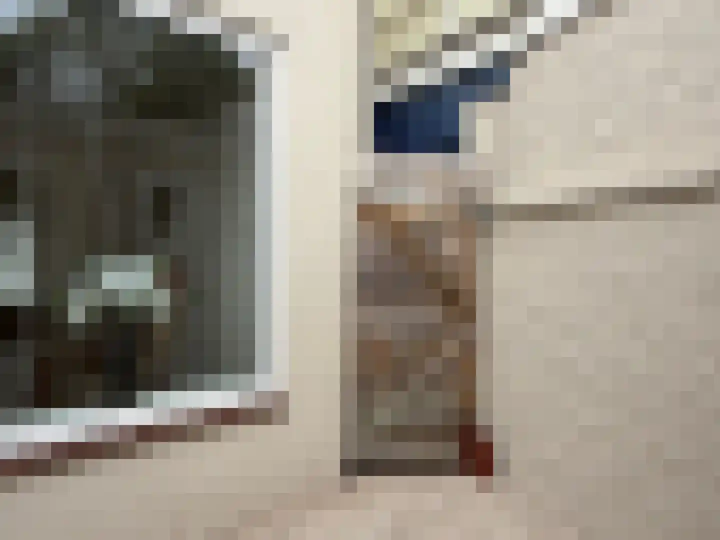Frans van Waesberghestraat 6 Hulst thumbnail 21
