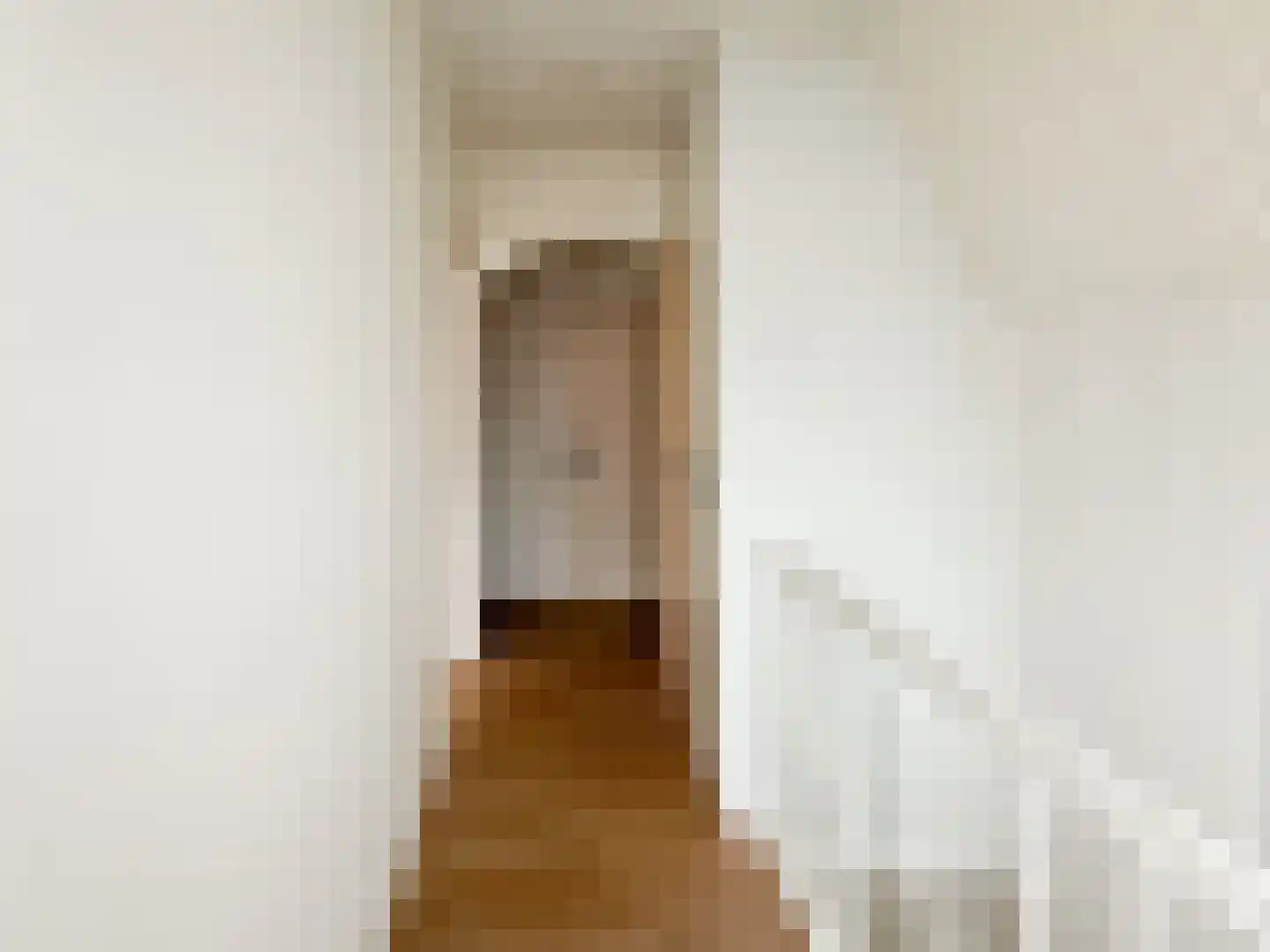 Frans van Waesberghestraat 6 Hulst thumbnail 22