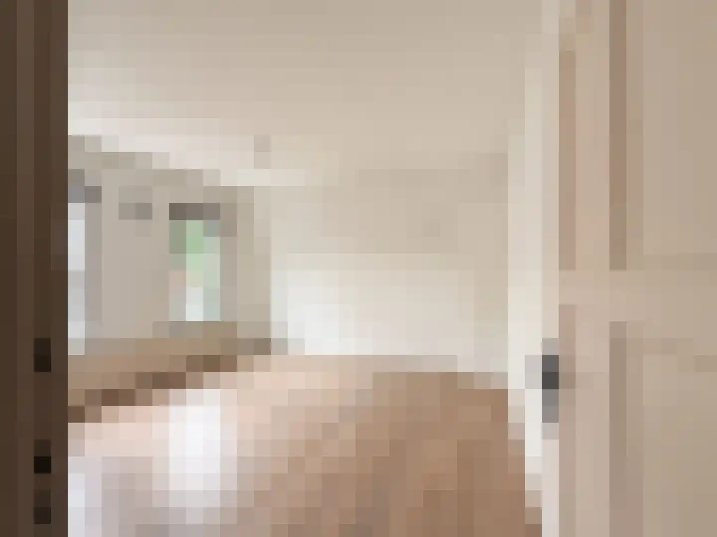 Frans van Waesberghestraat 6 Hulst thumbnail 24