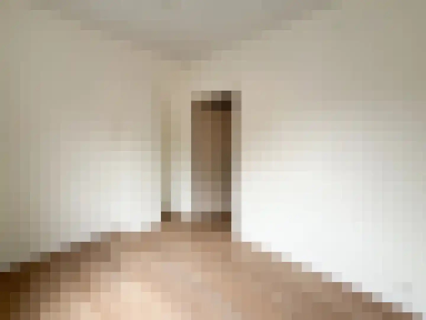 Frans van Waesberghestraat 6 Hulst thumbnail 25