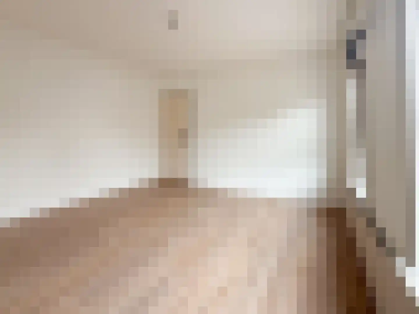 Frans van Waesberghestraat 6 Hulst thumbnail 26