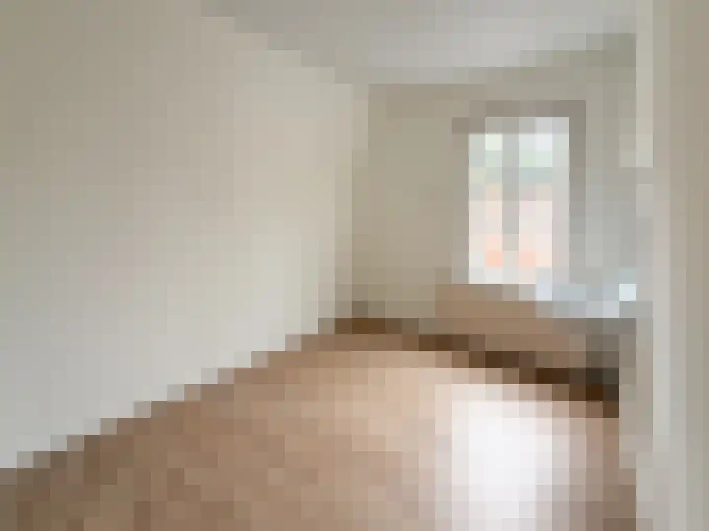 Frans van Waesberghestraat 6 Hulst thumbnail 28