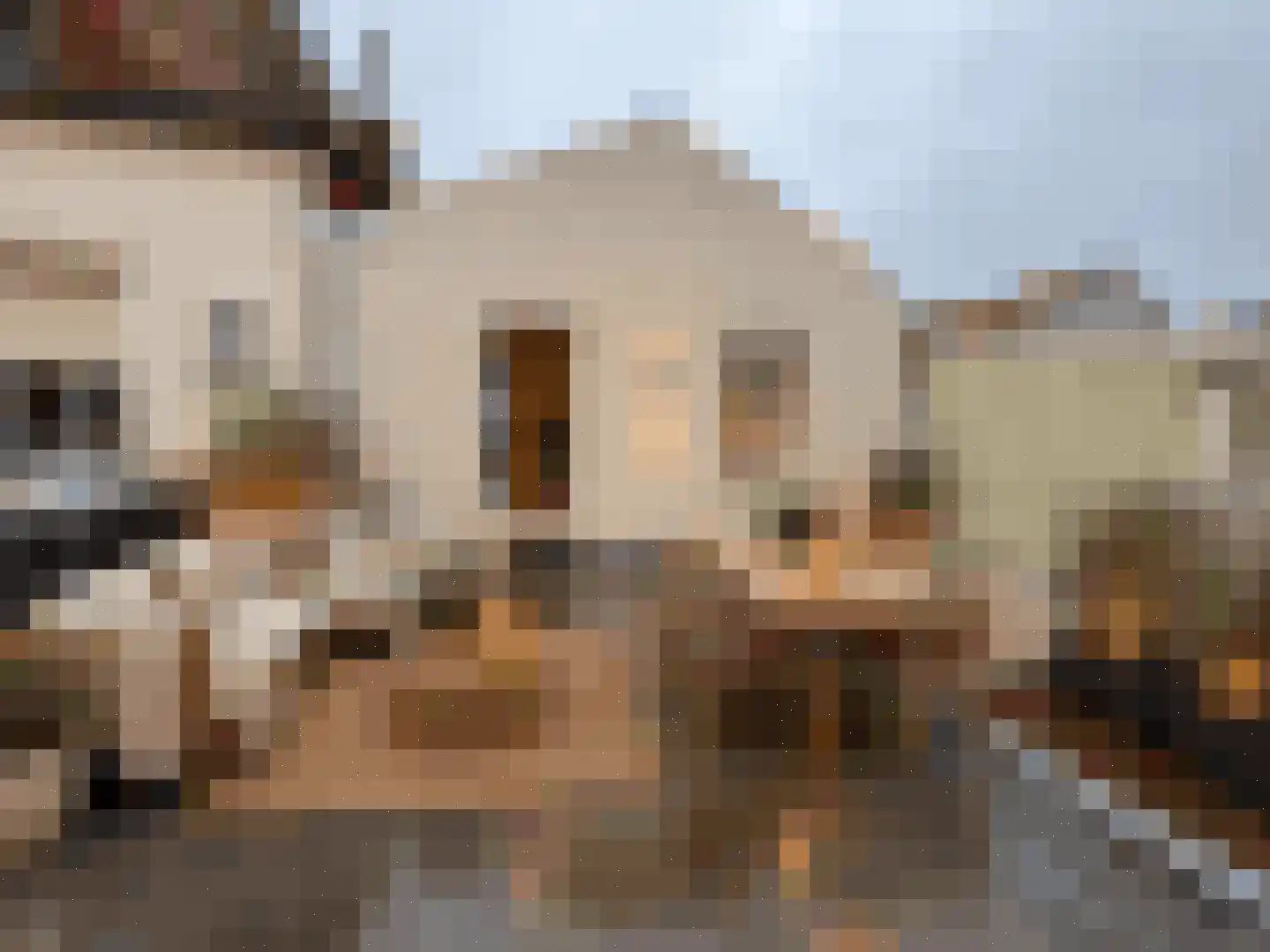 Frans van Waesberghestraat 6 Hulst thumbnail 31
