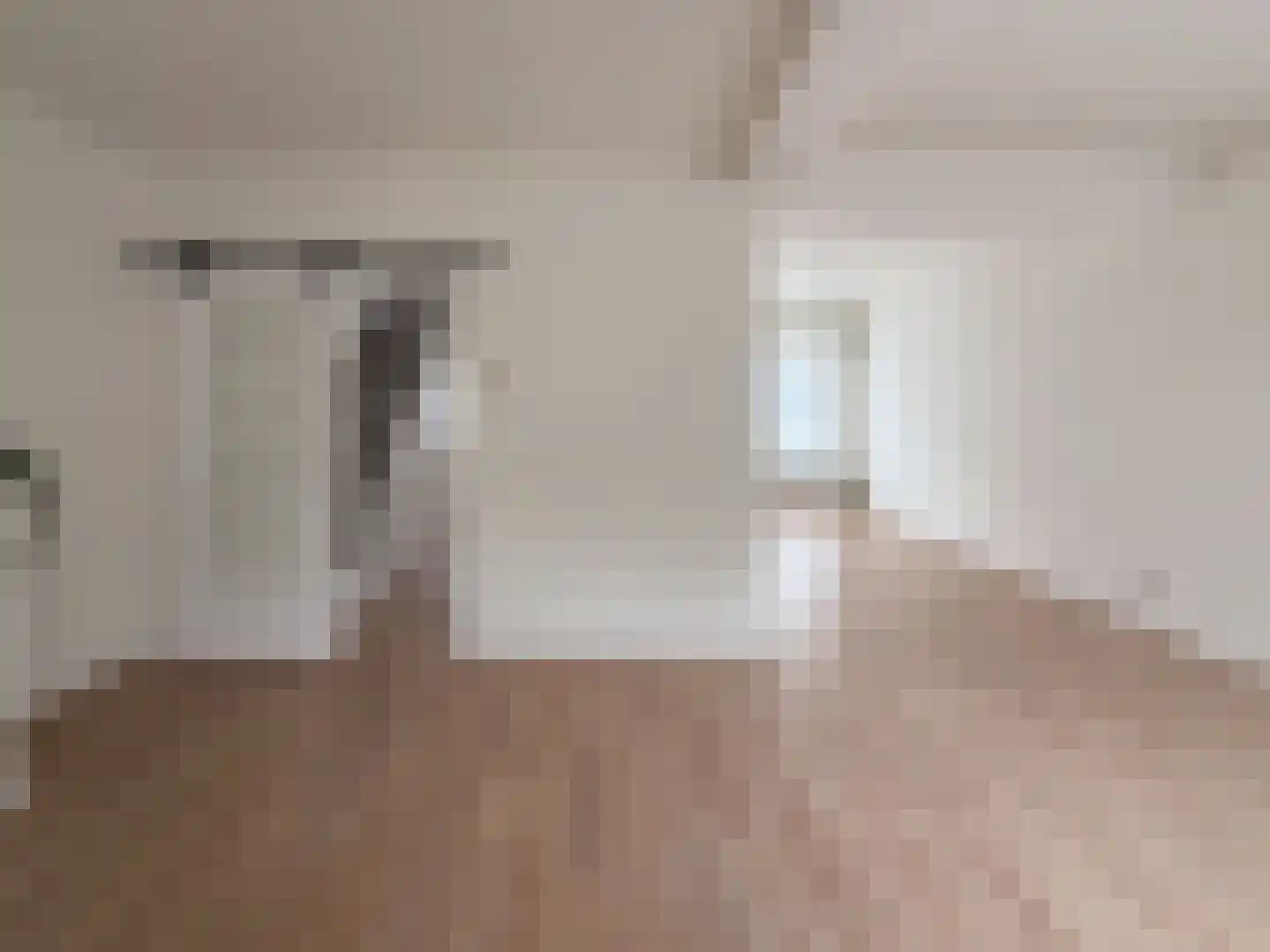 Frans van Waesberghestraat 6 Hulst thumbnail 5