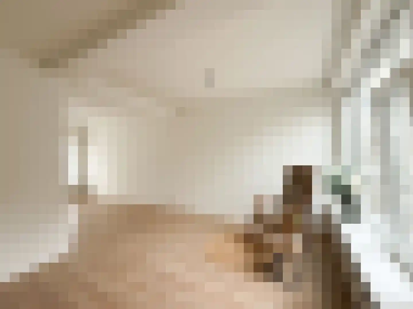 Frans van Waesberghestraat 6 Hulst thumbnail 6