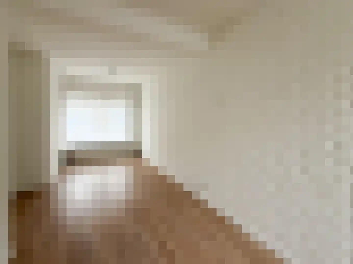 Frans van Waesberghestraat 6 Hulst thumbnail 7