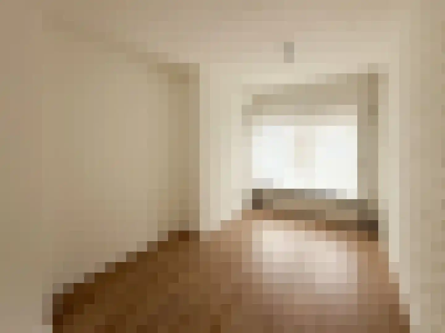 Frans van Waesberghestraat 6 Hulst thumbnail 8
