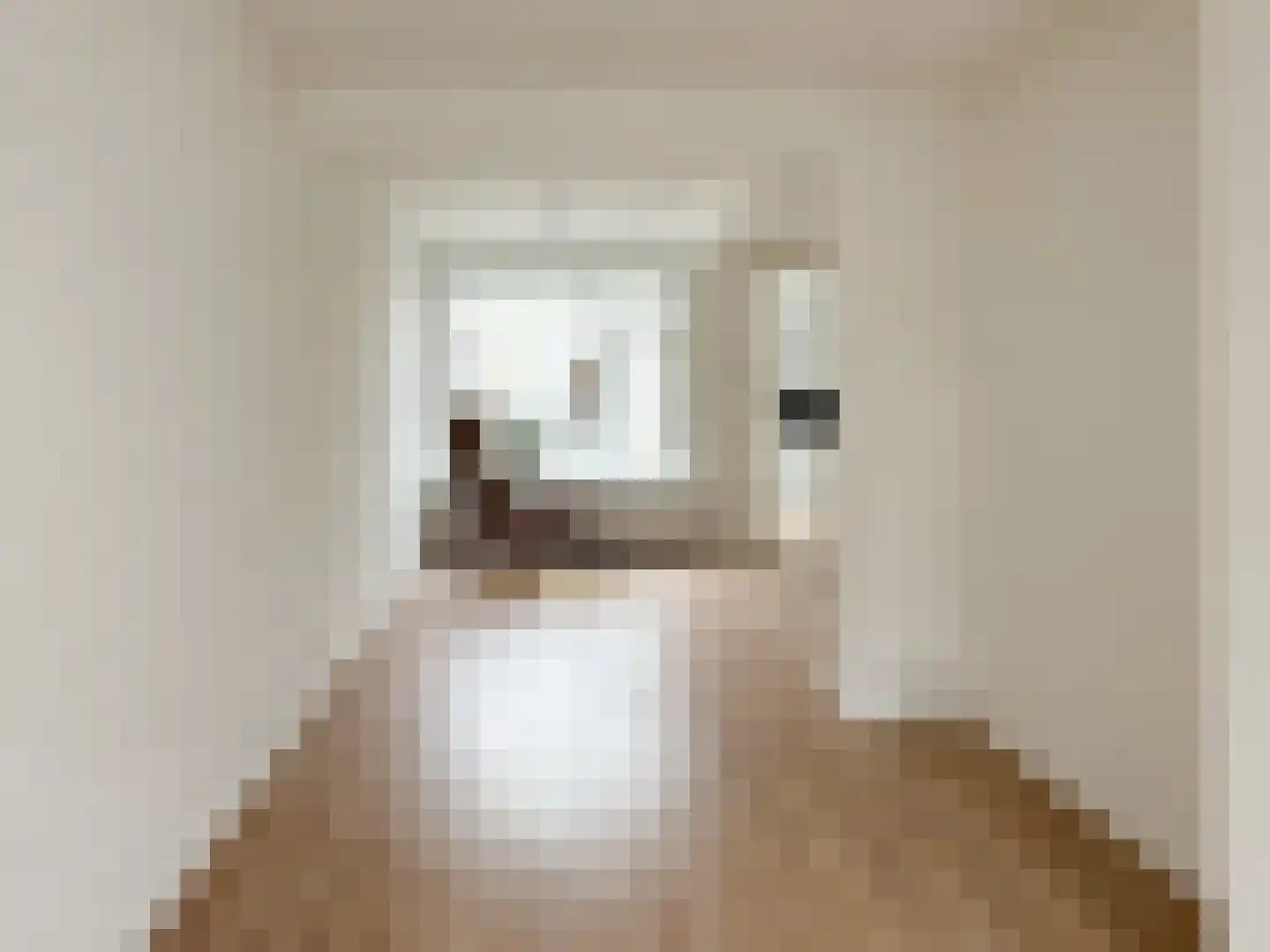 Frans van Waesberghestraat 6 Hulst thumbnail 9