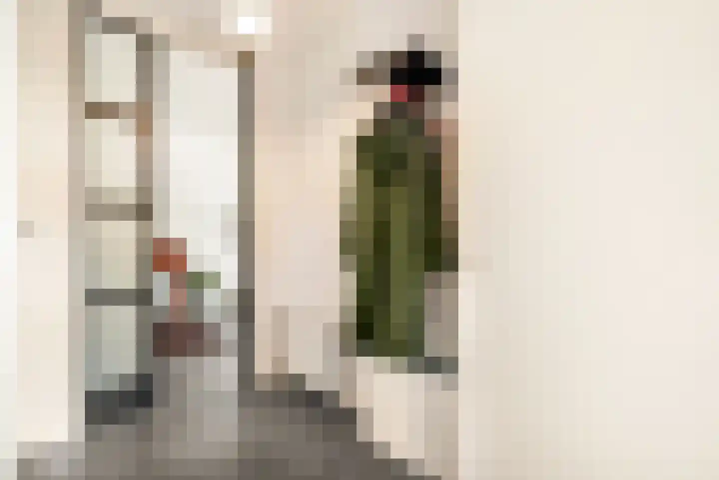 Frans Verpoortenstraat 1 Spaarndam thumbnail 11