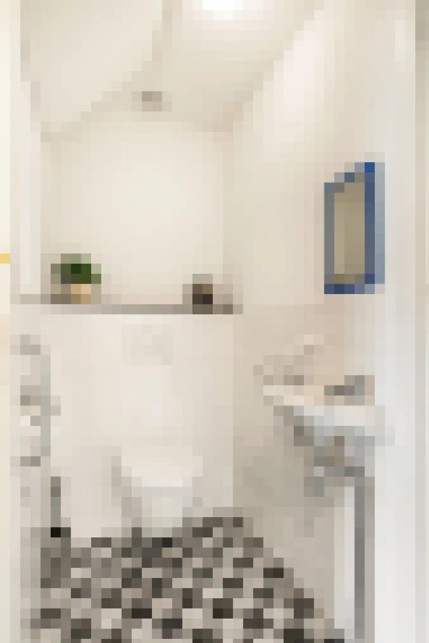 Frans Verpoortenstraat 1 Spaarndam thumbnail 12