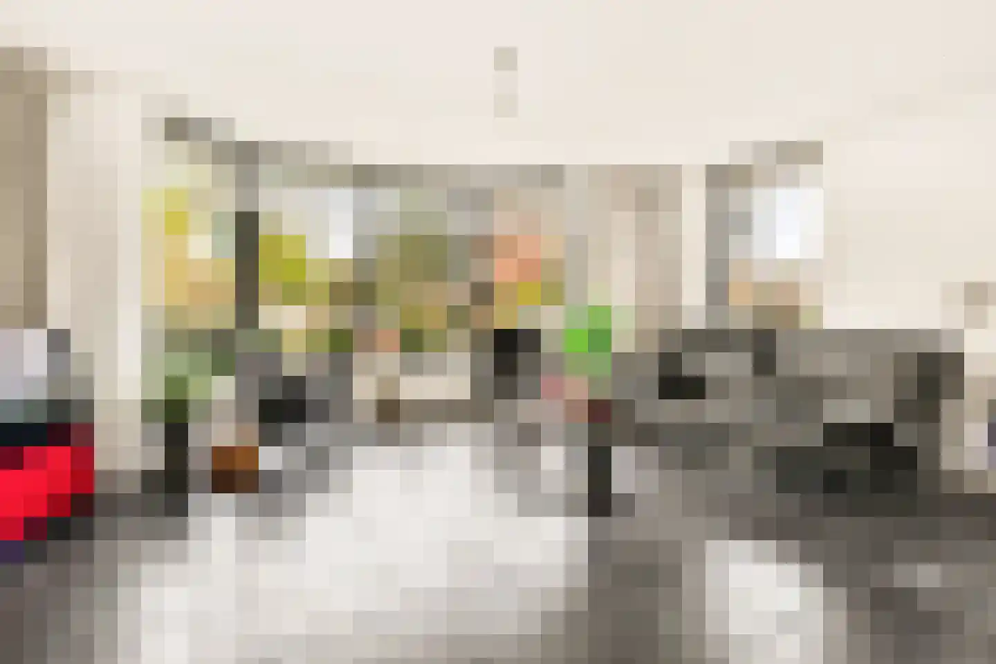 Frans Verpoortenstraat 1 Spaarndam thumbnail 13