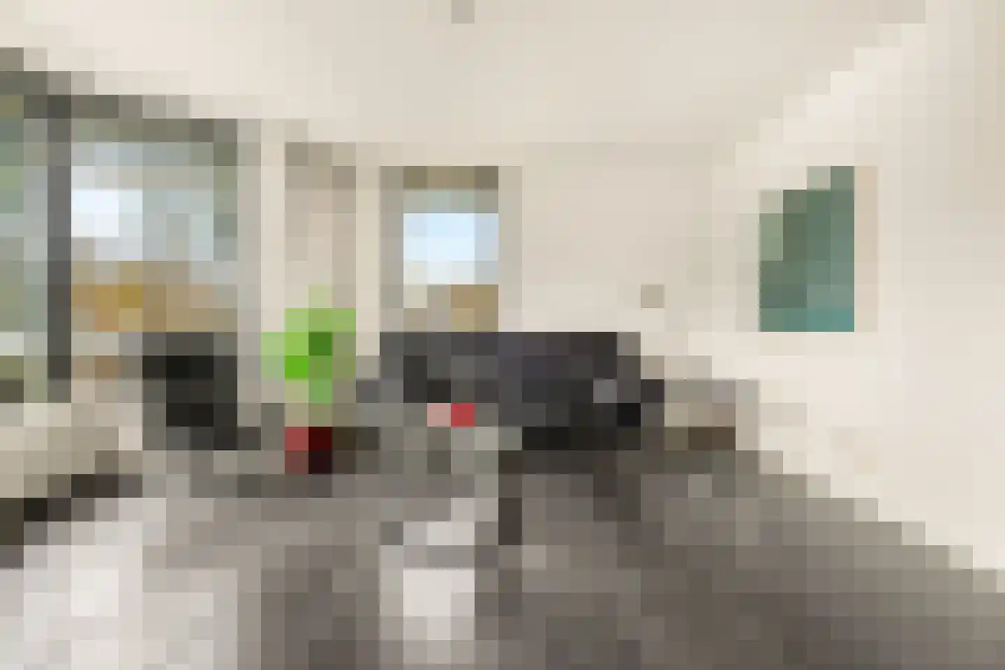 Frans Verpoortenstraat 1 Spaarndam thumbnail 19
