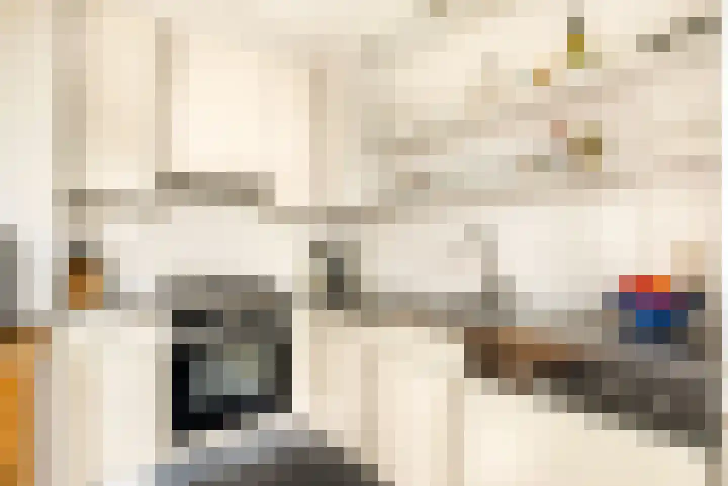 Frans Verpoortenstraat 1 Spaarndam thumbnail 25