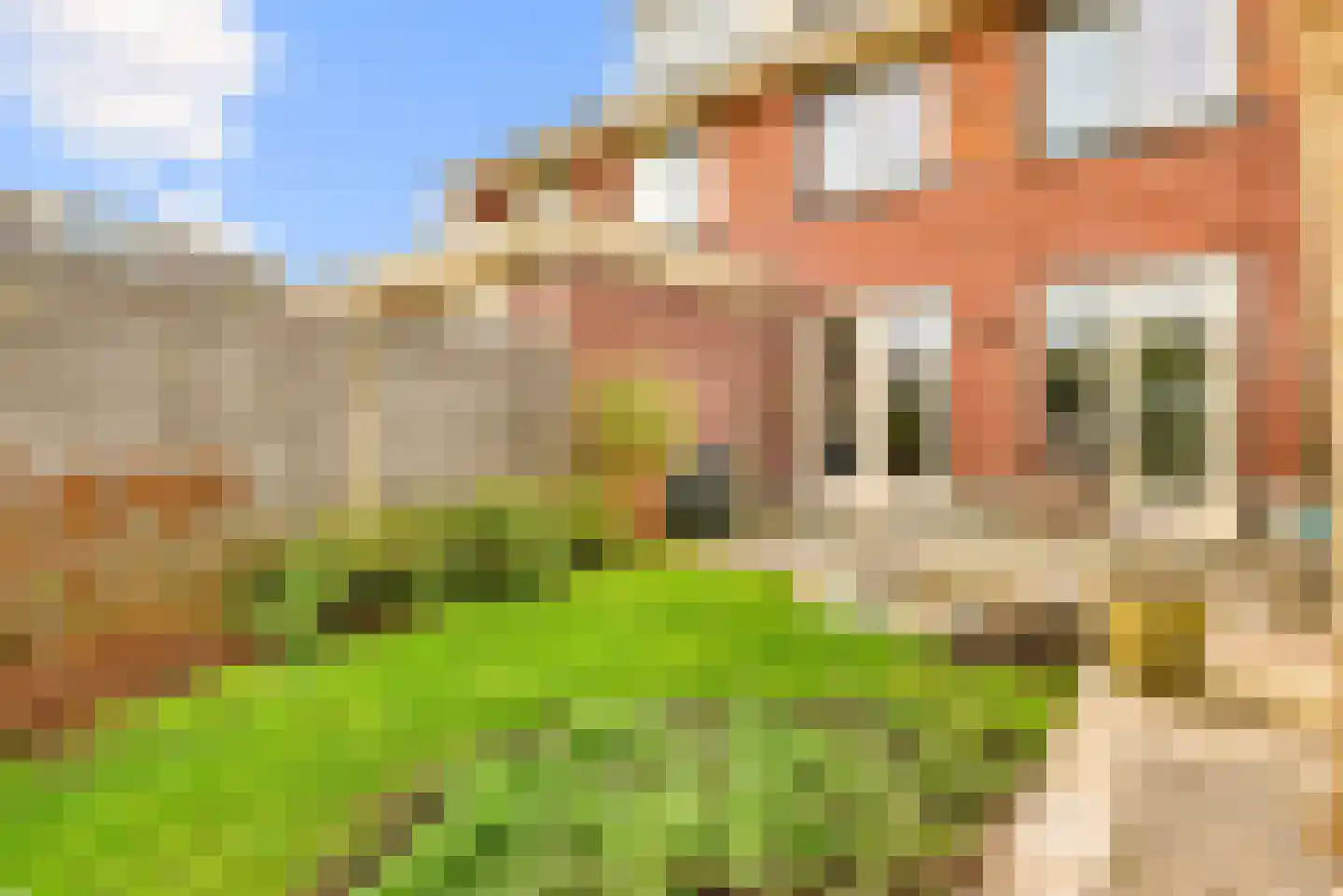 Frans Verpoortenstraat 1 Spaarndam thumbnail 32