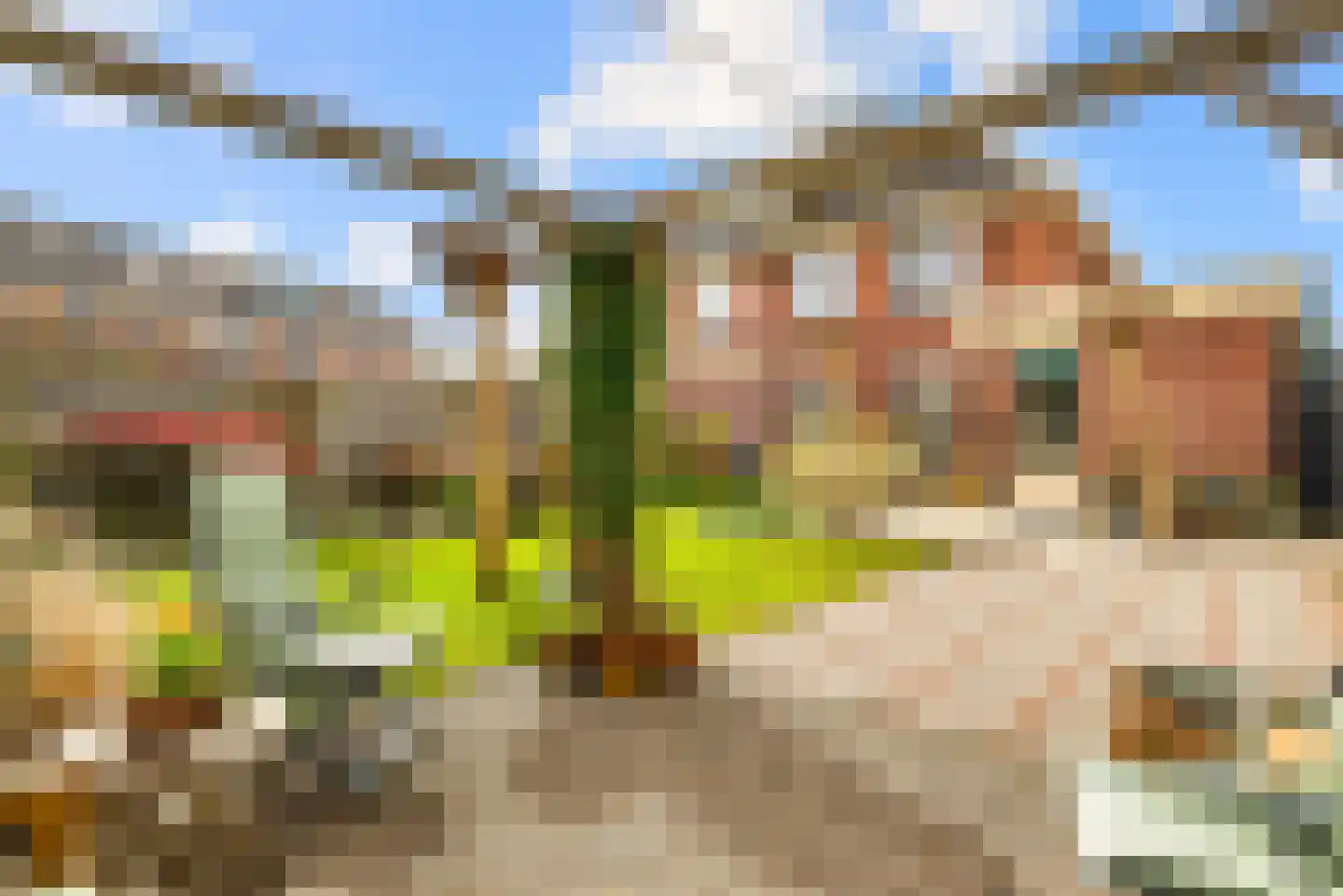 Frans Verpoortenstraat 1 Spaarndam thumbnail 38