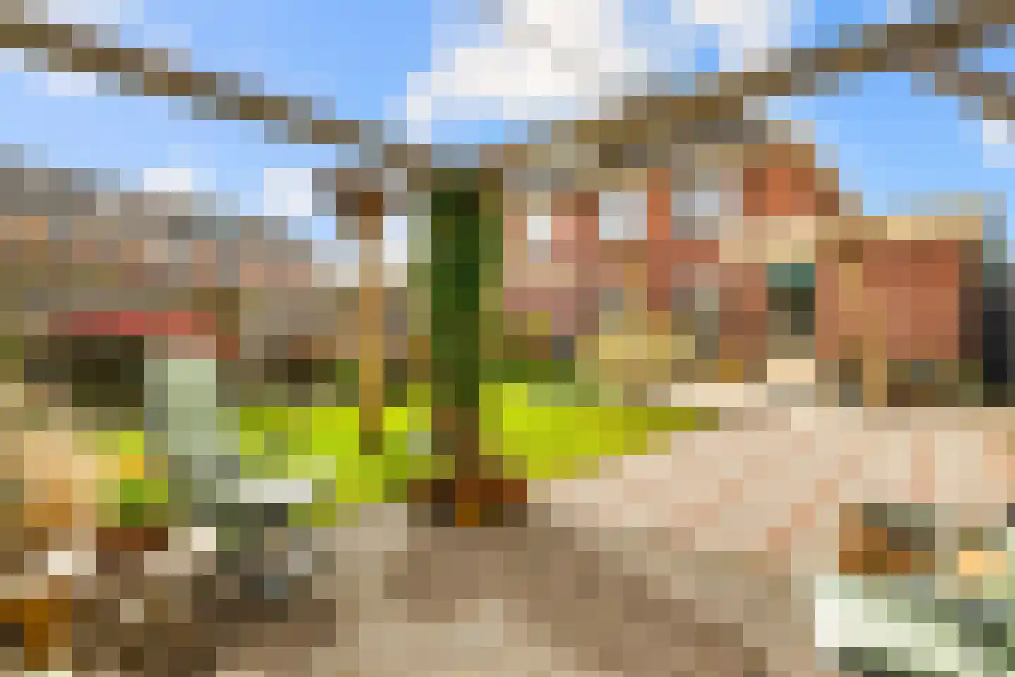 Frans Verpoortenstraat 1 Spaarndam thumbnail 4